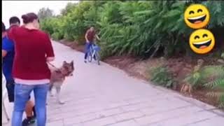 Video cocopun kocak dan lucu