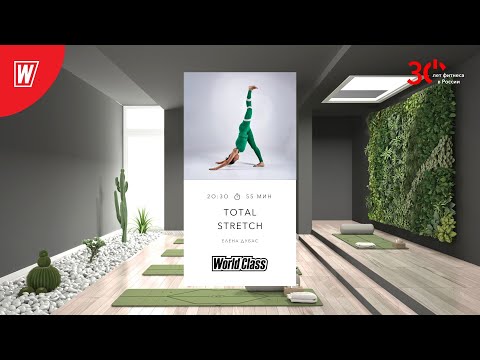 TOTAL STRETCH с Еленой Дубас | 19 декабря 2023 | Онлайн-тренировки World Class