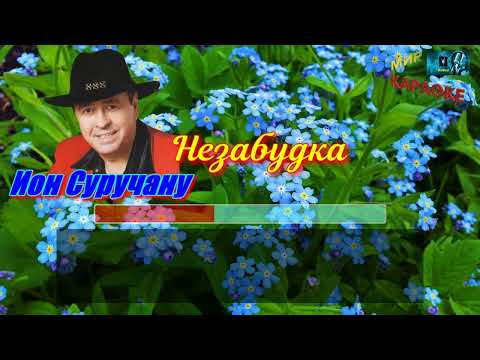 Ион Суручану - Незабудка (КАРАОКЕ от DJSerj)