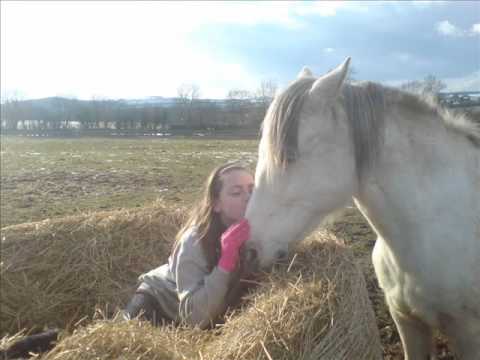 dream saved from slaughter.wmv