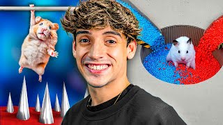 Thumbnail for 🩸Peligrosa Batalla de Hámsters en Laberinto Extremo que Construí🩸