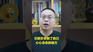 猴子來福的秘密|自說自話的總裁