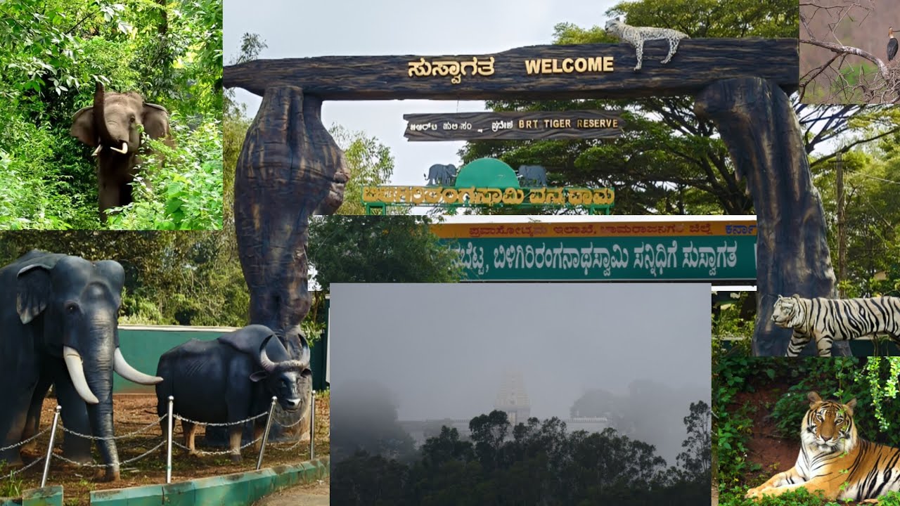 ಶ್ರೀ ಬಿಳಿಗಿರಿ ರಂಗನಾಥ ಬೆಟ್ಟ 🕉️  B R Hills   Hidden gem of Karnataka  Must watch  Part 1