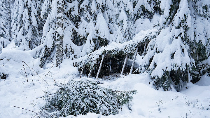 Building a Shelter to Survive HEAVY SNOW:  3 Days Bushcraft Adventure (Full Version)