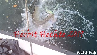 Herbsthechte Schweiz 2019 - #iCatchFish