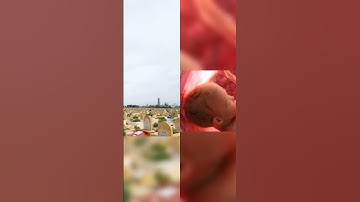 سورة لقمان(إن الله عنده علم الساعة)