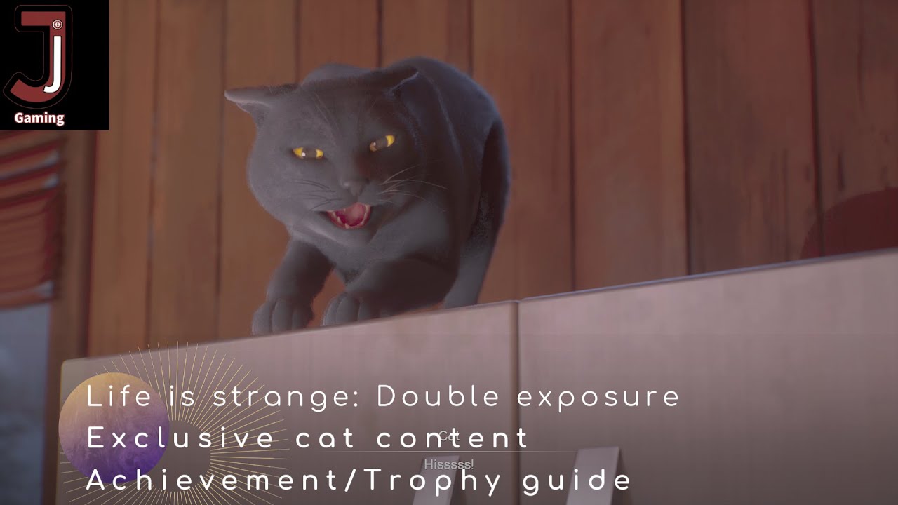 Life is strange Double exposure Exclusive cat content Achievement/Trophy guide