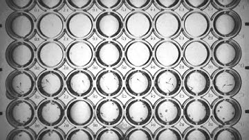 ZebraBox HD technology