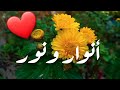 أغنية أسم أنوار ونور أنوار نور