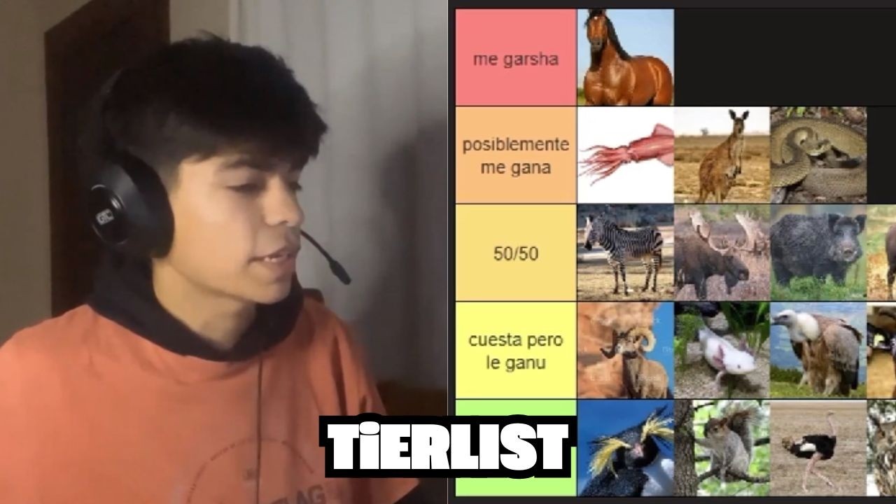 TiERLIST - ANIMALeS 1vs1