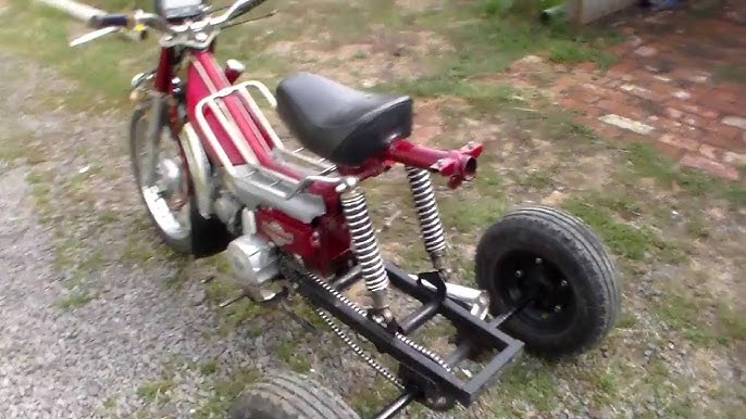 Oq tor paypoqlarida etuk jinsiy aloqa