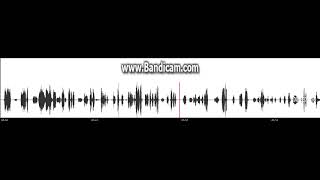 bandicam 2026 04 28 19 20 21 269 video converter com mp4