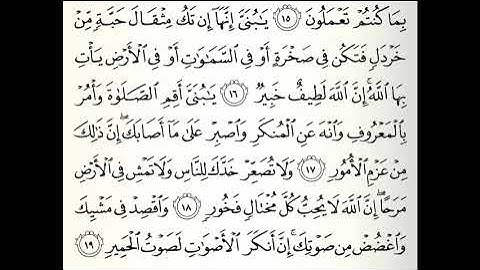 تلاوات مختارة سورة لقمان كاملة القارئ عامر المهلهل