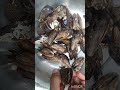 என்னது சிப்பிக்குள்ள மீனா😳 #food #fish #fishcleaning #ytshorts #fyp #shorts #voiceover #fishing