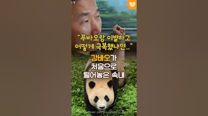 “푸바오랑 이별하고 어떻게 극복했냐면..” 강바오가 처음으로 털어놓은 속내 (+박하선의 씨네타운 라디오) #shorts #강바오 #푸바오