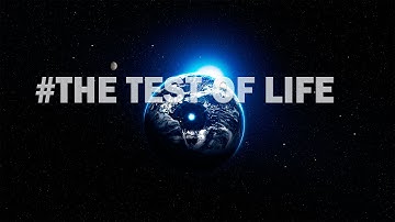 №1 ПРОЛОГ!  THE TEST OF LIFE