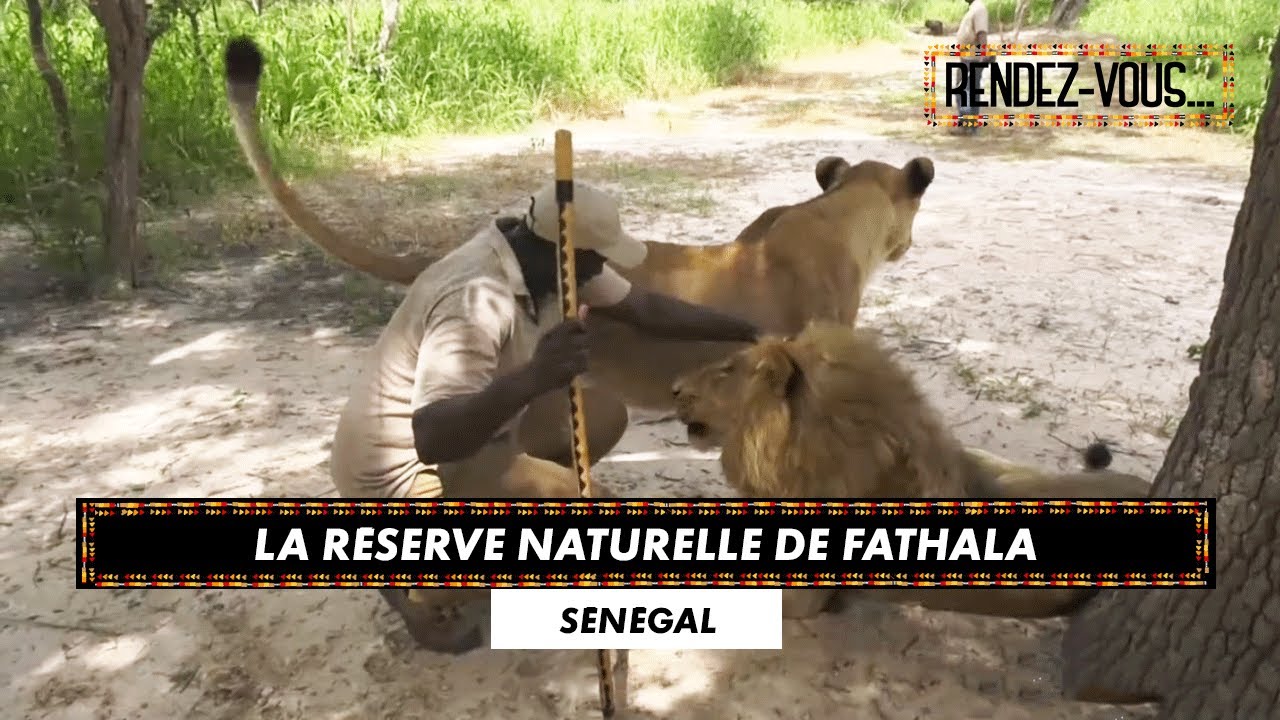La réserve naturelle de Fathala - RENDEZ-VOUS AU SÉNÉGAL (25/02/20)