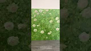 Dreamy Rose Garden Floral Painting | Soft Cottagecore Wall Art