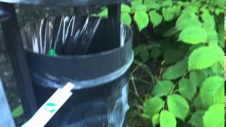 Throwing away chopsticks @schnooleheletteletto