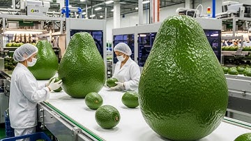Inside a Modern Avocado Factory: From Orchard to Creamy Spread (The Whole Process)