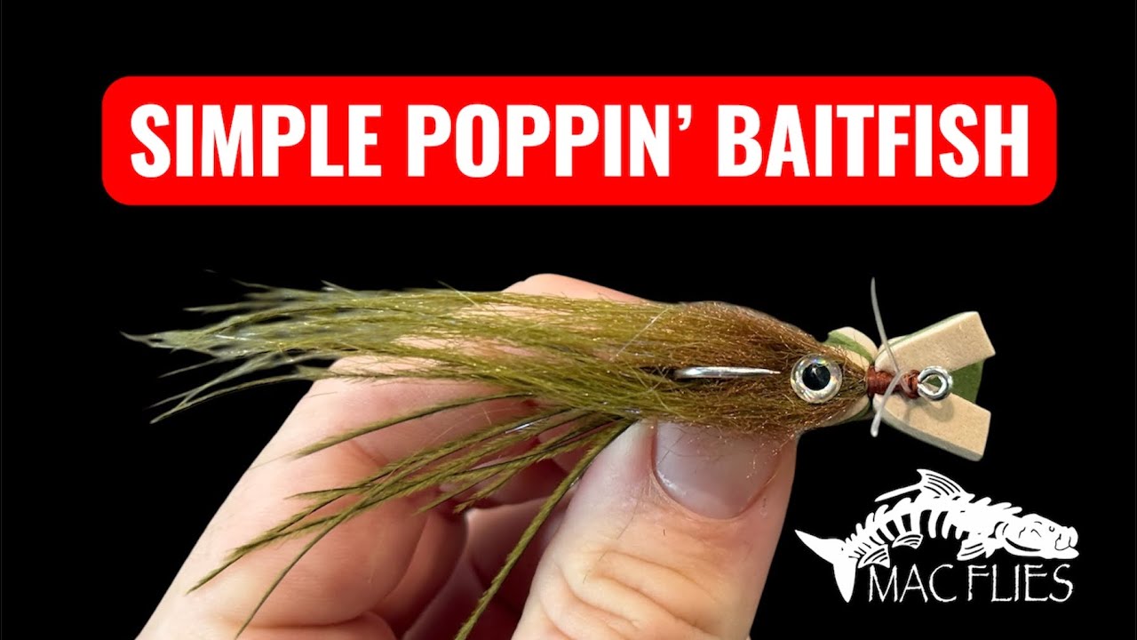 SIMPLE POPPIN’ BAITFISH TYING VIDEO