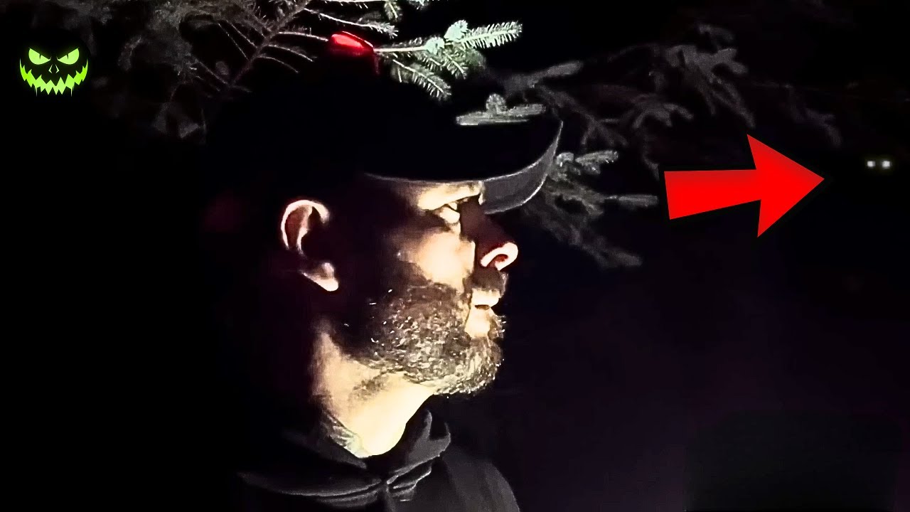 6 Encontros Mais Perturbadores Já Gravados em Florestas Sinistras