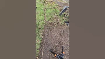 This footpath has not been seen for decades