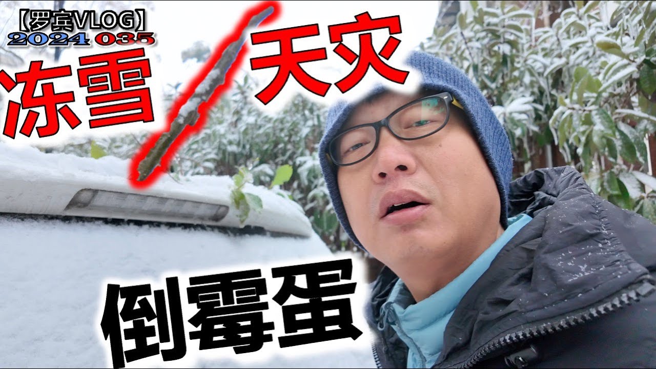 三輪休雪 11代 作れる 無事 