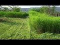 All-Weather Electric Mower OEM | Koham Rugged Green Gear #WeatherMower #ElectricOEM
