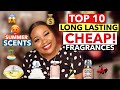 TOP 10 LONG LASTING CHEAP FRAGRANCES | SUMMER SCENTS | PERFUME COLLECTION 2020 | DESIGNER, CELEBRITY