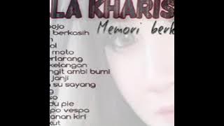 Nela Kharisma- Pamer Bojo Nonstop
