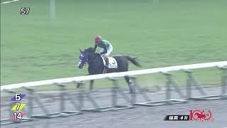 2018/11/11 福島4R 障害未勝利 [メイショウゴウリキ] 森一馬
