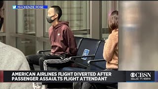 American Airlines Flight Diverted After Passenger Allegedly Assaults Flight Attendant