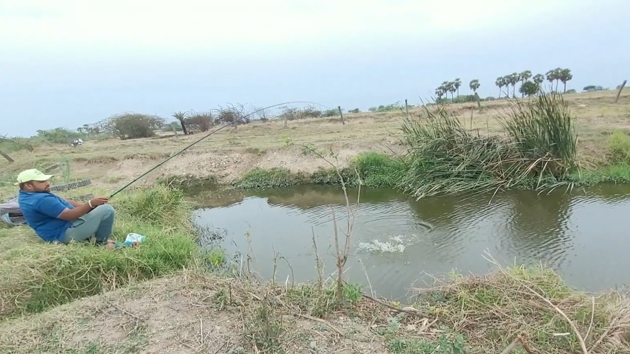 Best Flot fishing technique|Incredible Catch Fisherman Catching lot of Catfishes by Small hook
