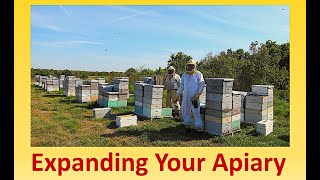 Expanding Your Apiary Part 2, Q &amp; A