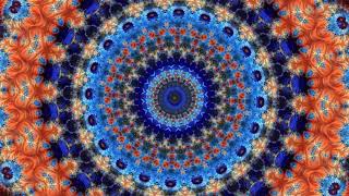 13th Floor Elevators - Roller Coaster