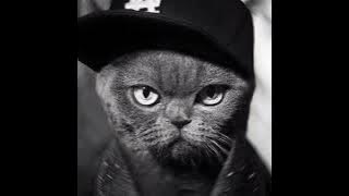 David Guetta feat. Bebe Rexha - I'm Good !!!  #mp3 #davidguetta #music