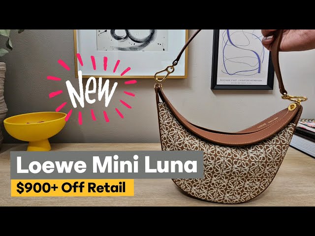 Introducing the Loewe Luna Bag - PurseBlog