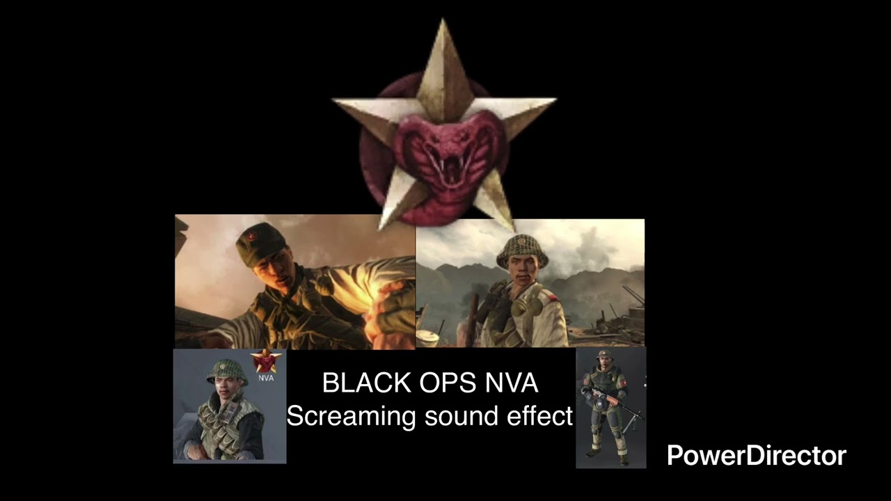 Call Of Duty Black Ops Sound Effects: NVA Screaming sound effect (when decapitated)