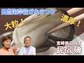 【グルメはメグル】民宿 磯(日向市)