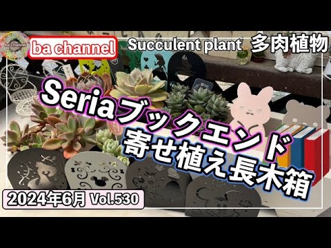 530 {Succulents} 100 Yen Shop Bookends📕100 Yen Shop Bookends