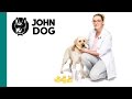 Jak wykapać psa w domu - ZDROWIE PSA - John Dog