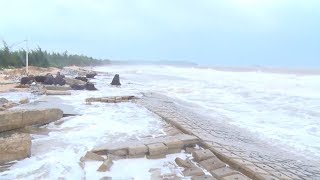 Tin Tức 24h Mới Nhất Hôm Nay : Quảng Nam xây kè chống sạt lở bờ biển screenshot 4