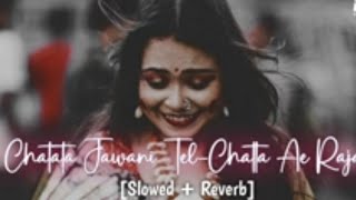 Machhali ke jaisi tadape javani ( slowed X Reverb) song bhojpuri lofi #lofi #bhojpuri #lofisong