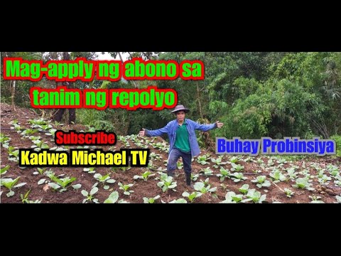Video: Itim Na Spot Ng Repolyo