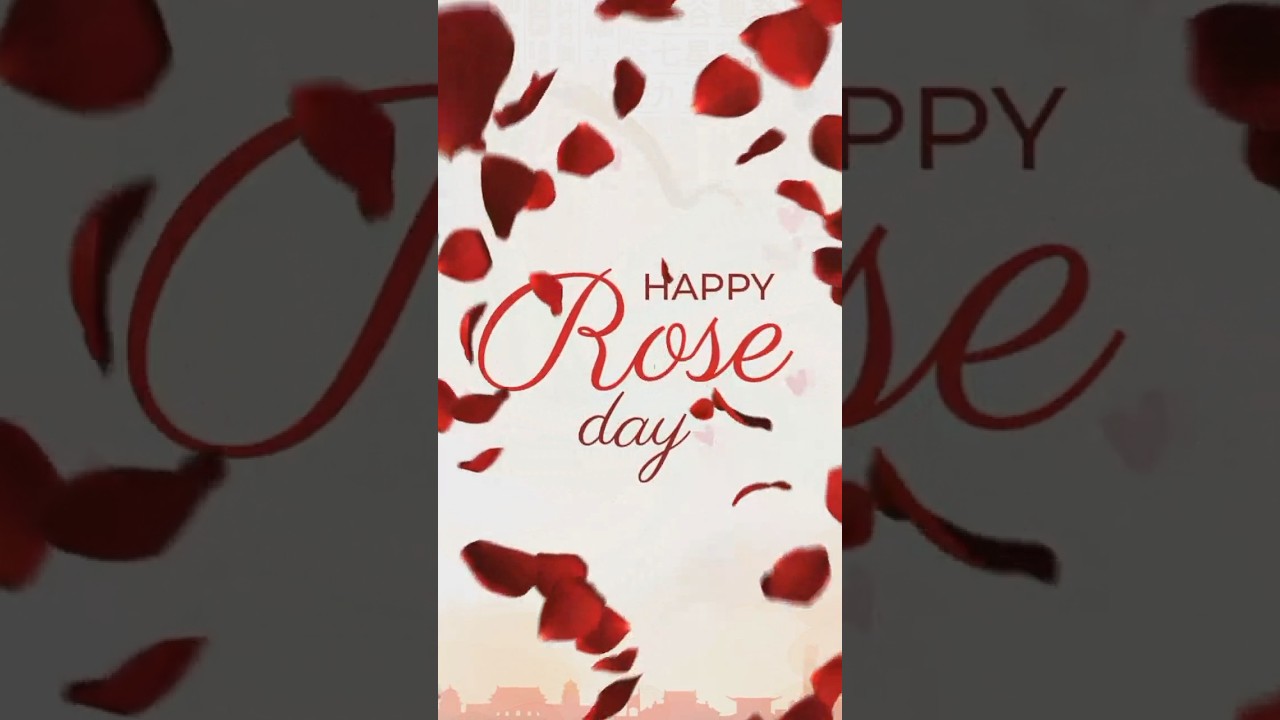 🌹 rose day wishes video 2023 🌹 || New Rose day video 2023 || rose day whatsapp status 2023