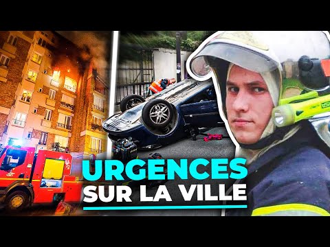 Vidéo: Pet Scoop: Les pompiers donnent un chien alerte à la jeune fille, les ouistitis sont des interlocuteurs polis