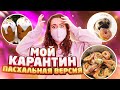 МОИ 24 ЧАСА НА КАРАНТИНЕ  3.0 💔