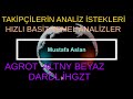 AGROT ALTNY BEYAZ DARDL İHGZT HIZLI BASİT TEMEL ANALİZLERİ TAKİPÇİLERİN TEFTİŞ İSTEKLERİ
