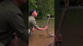 3 حيوانات خطيرة يجوز قتلها في الإسلام 😱